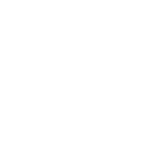 Noho Chamber logo, white